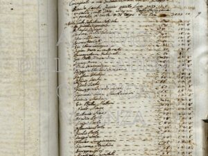 Arch.A.O. b.5 f.77_318