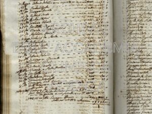 Arch.A.O. b.5 f.77_319